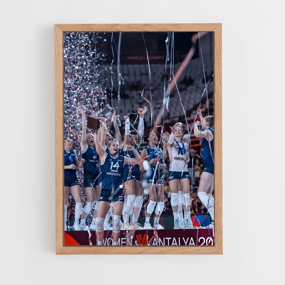 Poster Volleyball world précieux (vue 4)